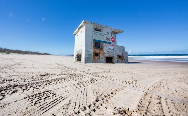 27 best Bribie island beach camping with dogs east coast