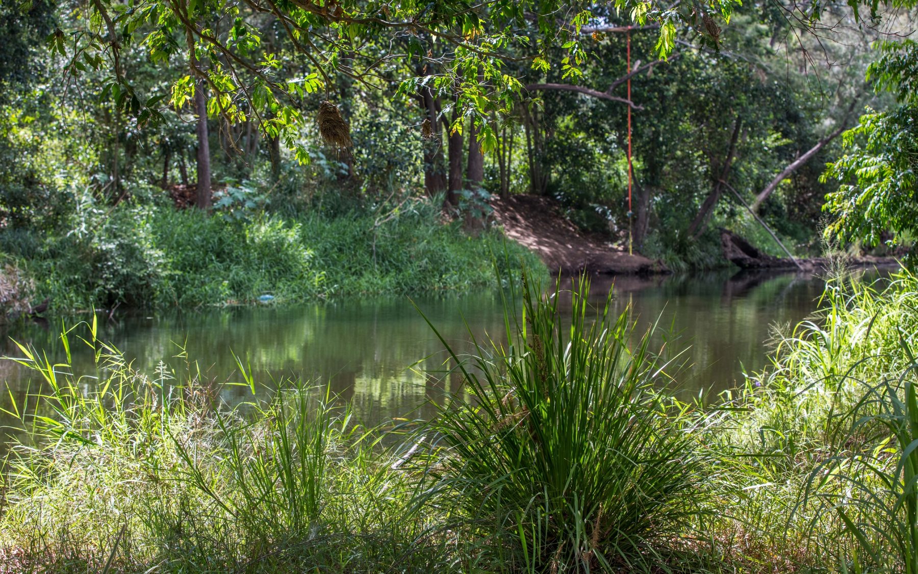 Bunya Crossing Reserve Swimming Hole | Things to do in Brisbane