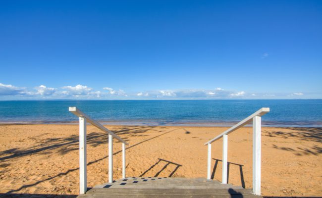 does margate beach allow dogs